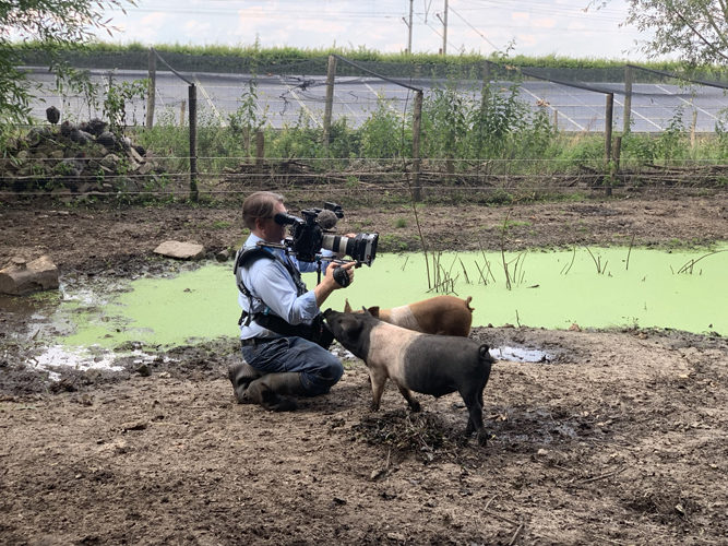 Duitse filmploeg in Energietuin 't Veen bij de varkens op het terrein